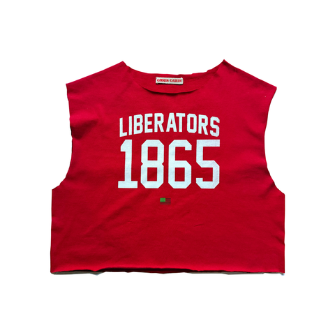 LIBERATORS 1865 VARSITY CROP TOP